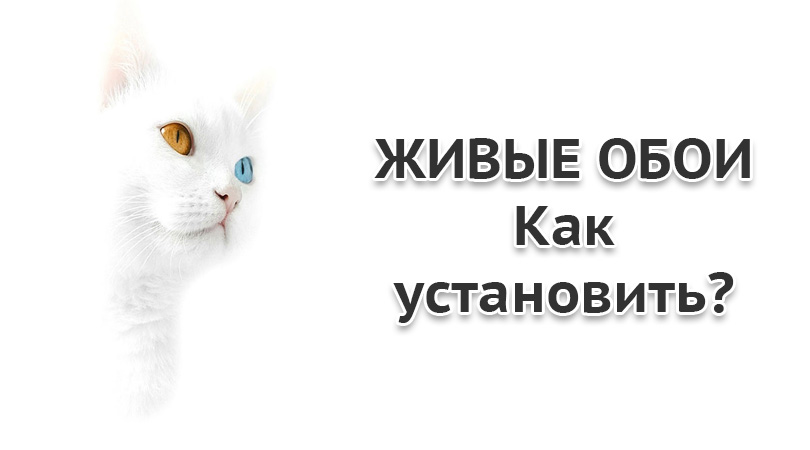 Как установить жив. Живо ставь. Как установить обои которые ты хочешь в видео. Как поставить живые обои из лайка. Установить обои на телефон ты уроки сделал.